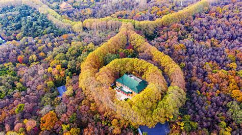 南京鍾山|南京钟山风景名胜区游玩攻略简介,南京钟山风景名胜区门票/地址/。